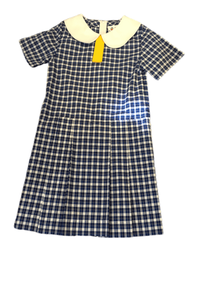 Blue Check Dress with Gold Tie